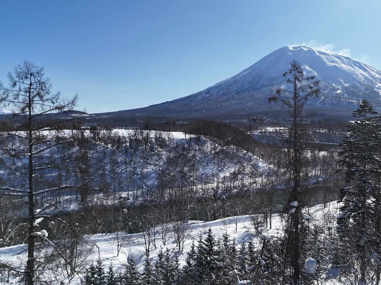 Sanga 56 1 5