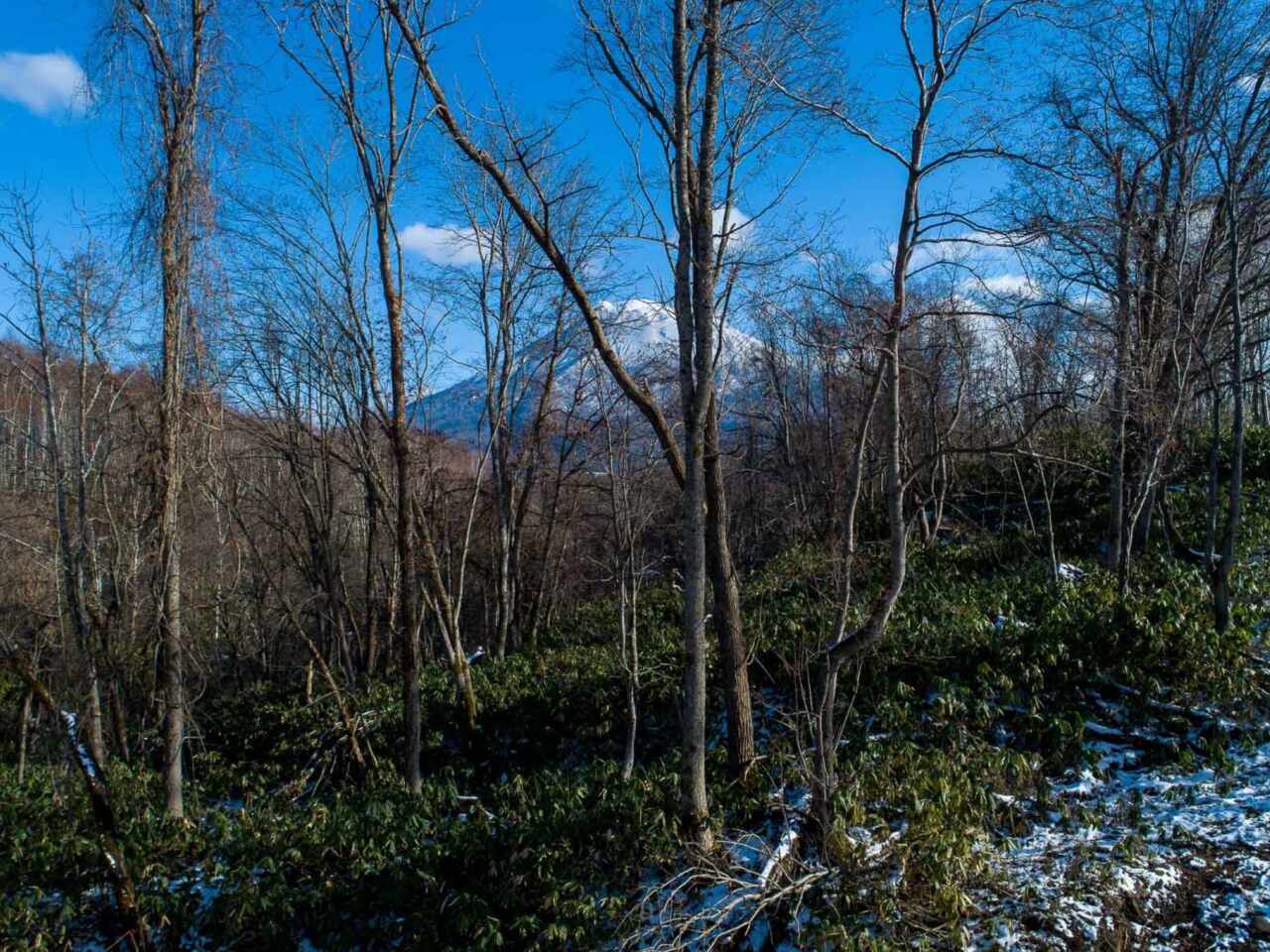 Drift Niseko Lot G 455