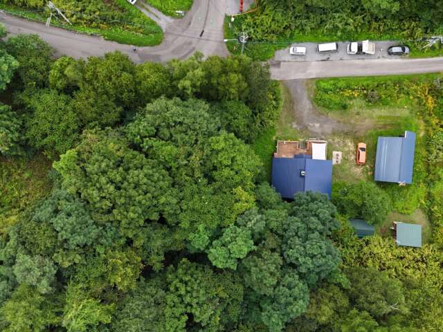 Hirafu Log House 2