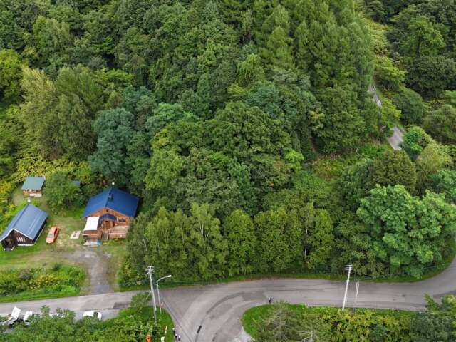 Hirafu Log House 4