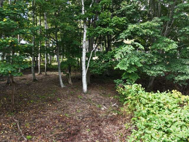 Soga stone circle creekside 1