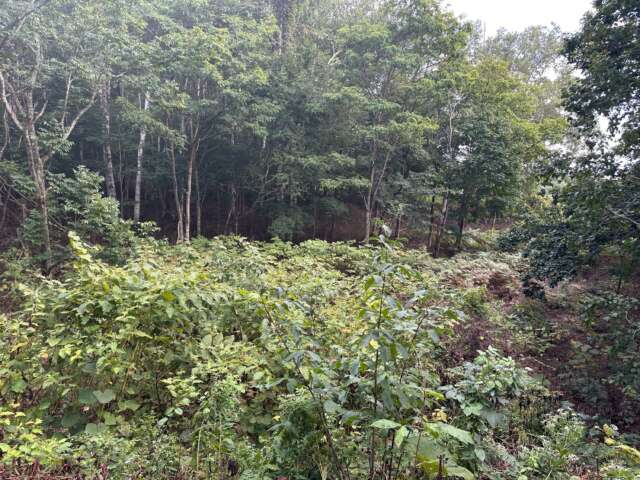 Soga stone circle creekside 8
