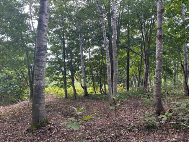 Soga stone circle creekside 11