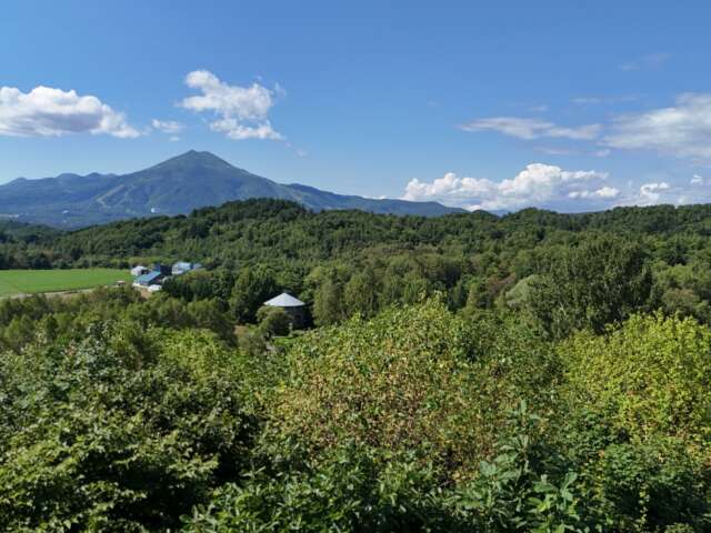 Kondo 741 171 7
