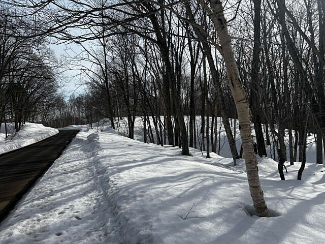 Niseko 177 3 13
