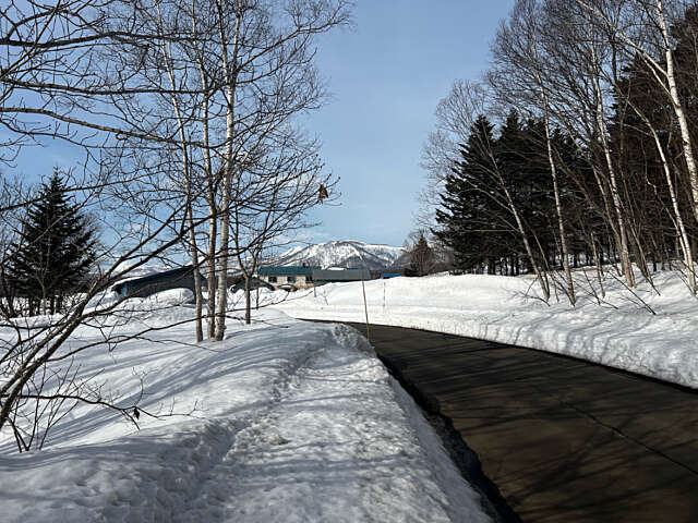 Niseko 177 3 15