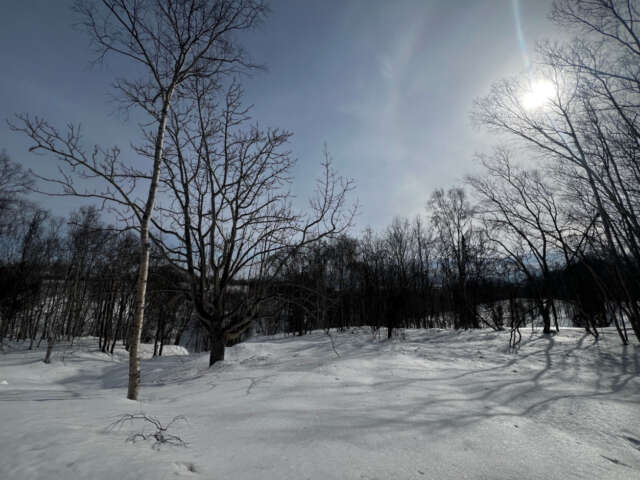 Niseko 177 3 17