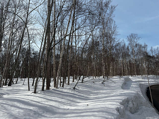 Niseko 177 3 18