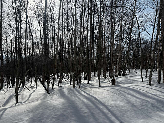 Niseko 177 3 19