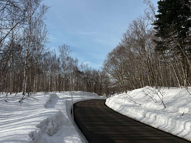 Niseko 177 3 20
