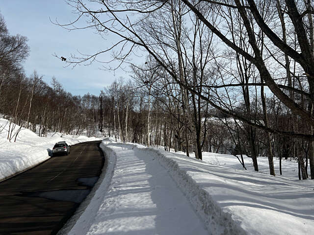 Niseko 177 3 21