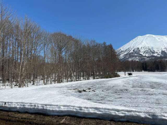 Hirafu 367 29 31