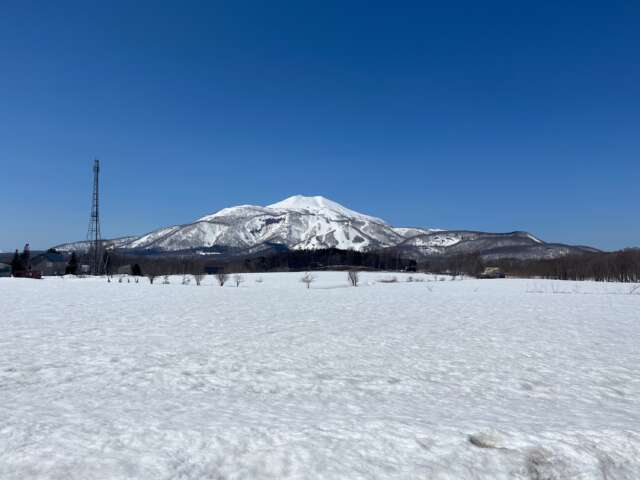 Hirafu 367 29 36