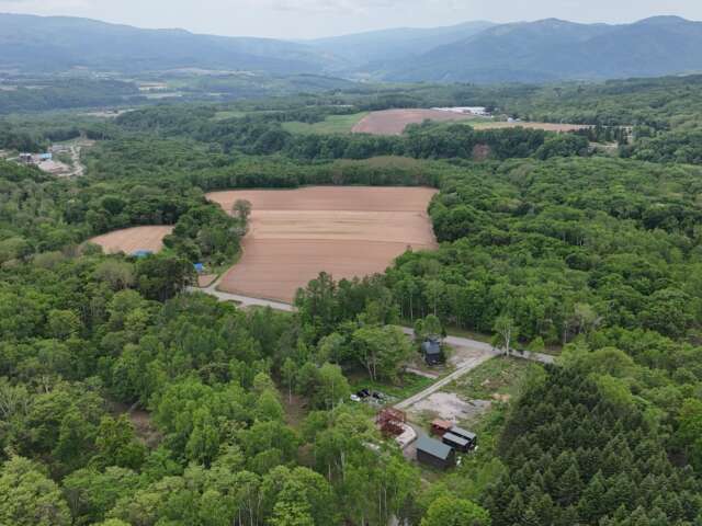 Niseko 355 140 7