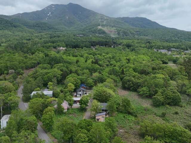 Niseko 386 8 35 7