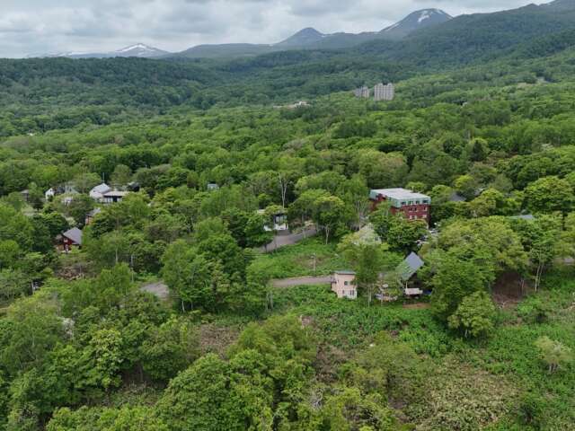 Niseko 386 8 35 8