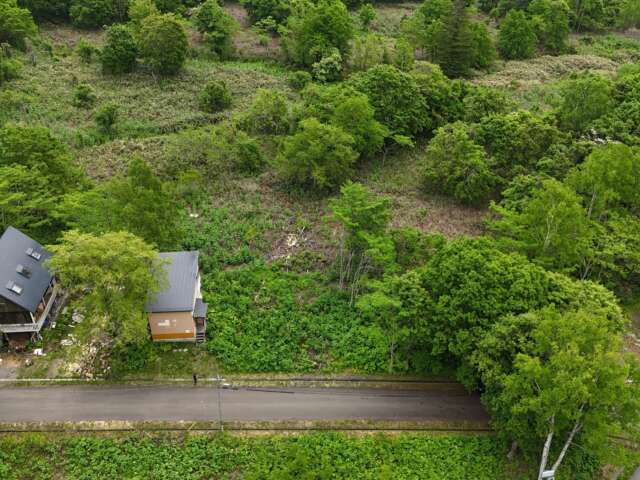 Niseko 386 8 35 9