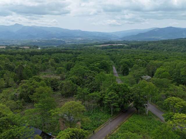 Niseko 386 8 35 12