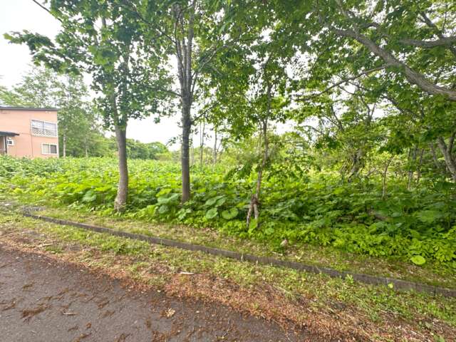 Niseko 386 8 35 13