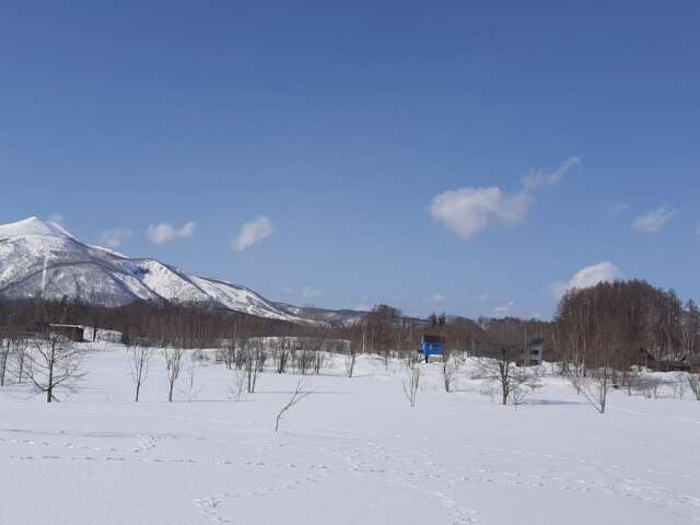 Arishima Blue house owner 11