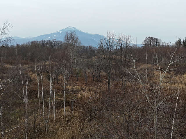 Arishima blue drone 6