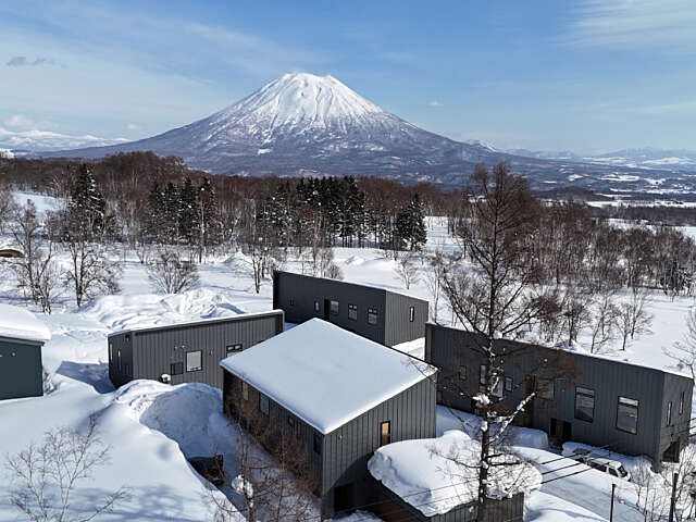 NLP house drone 1