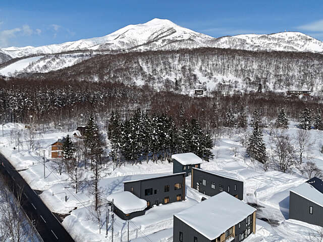 NLP house drone 2