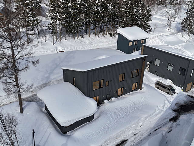 NLP house drone 8