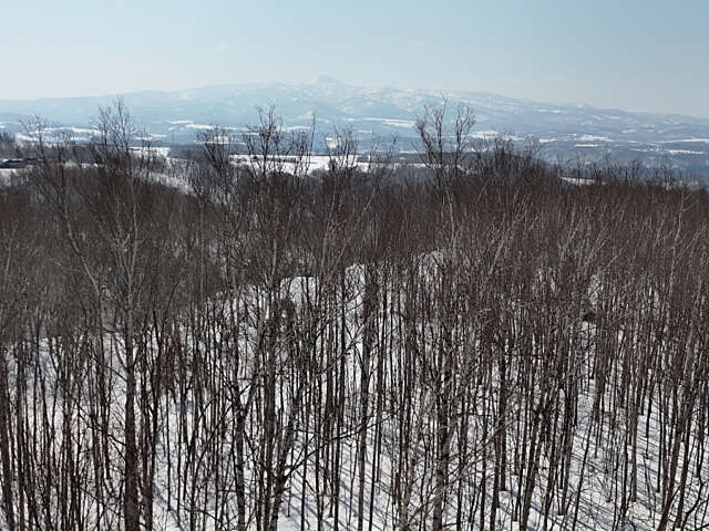 Niseko 177 3 2
