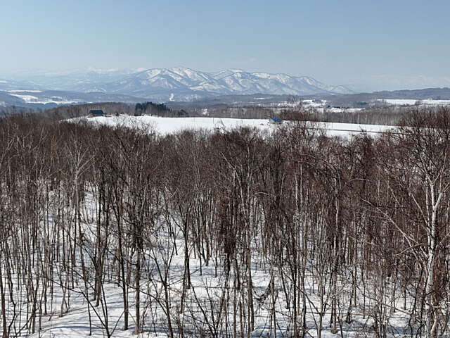 Niseko 177 3 3
