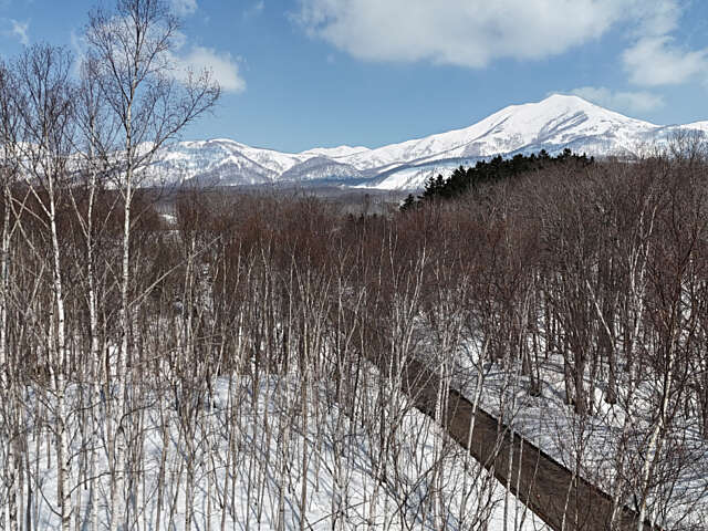Niseko 177 3 4