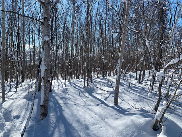 Niseko 177 3 9