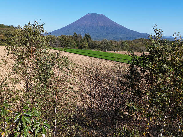 Soga farm and yotei view1