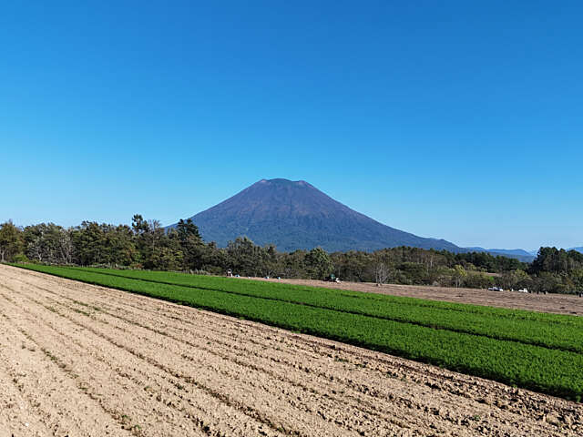 Soga farm and yotei view3